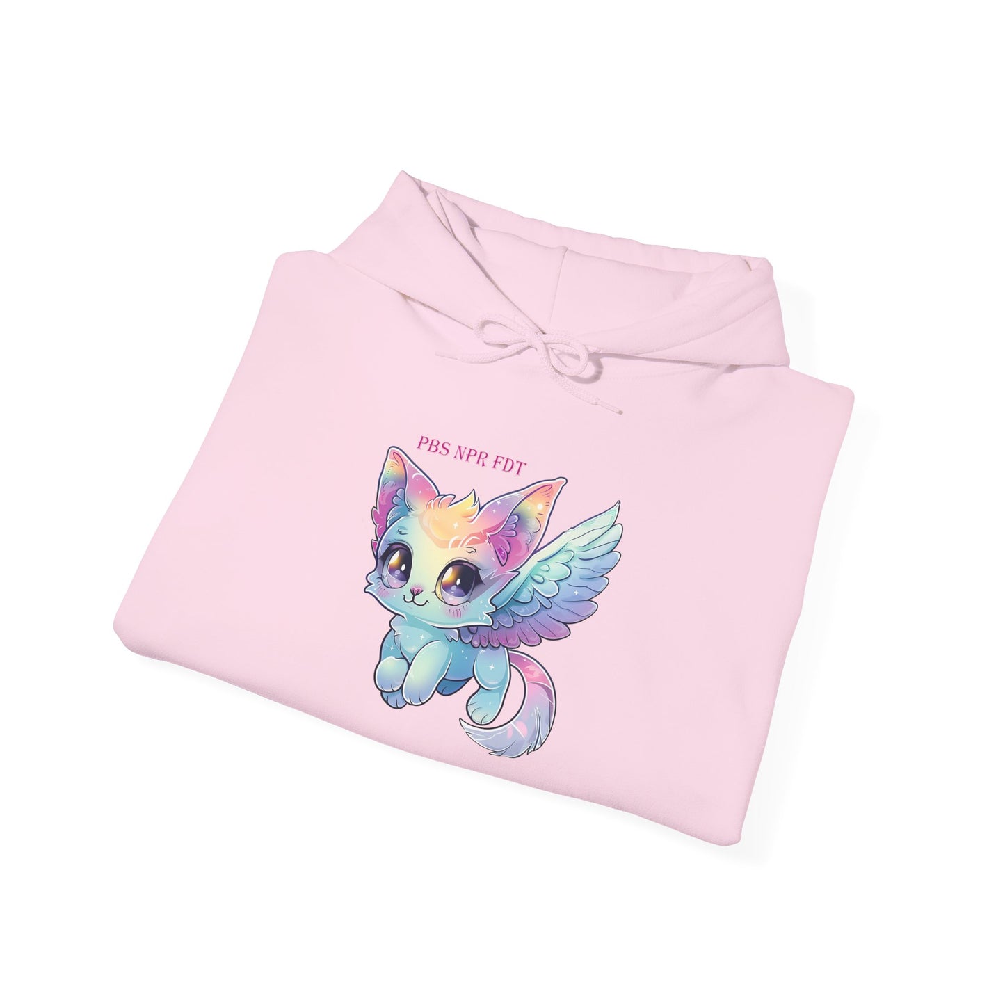 PBS NPR FDT Magical Cat Hoodie
