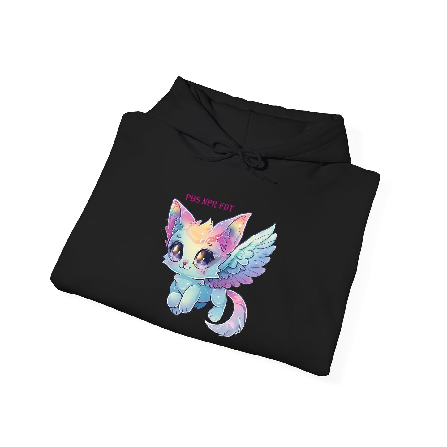 PBS NPR FDT Magical Cat Hoodie