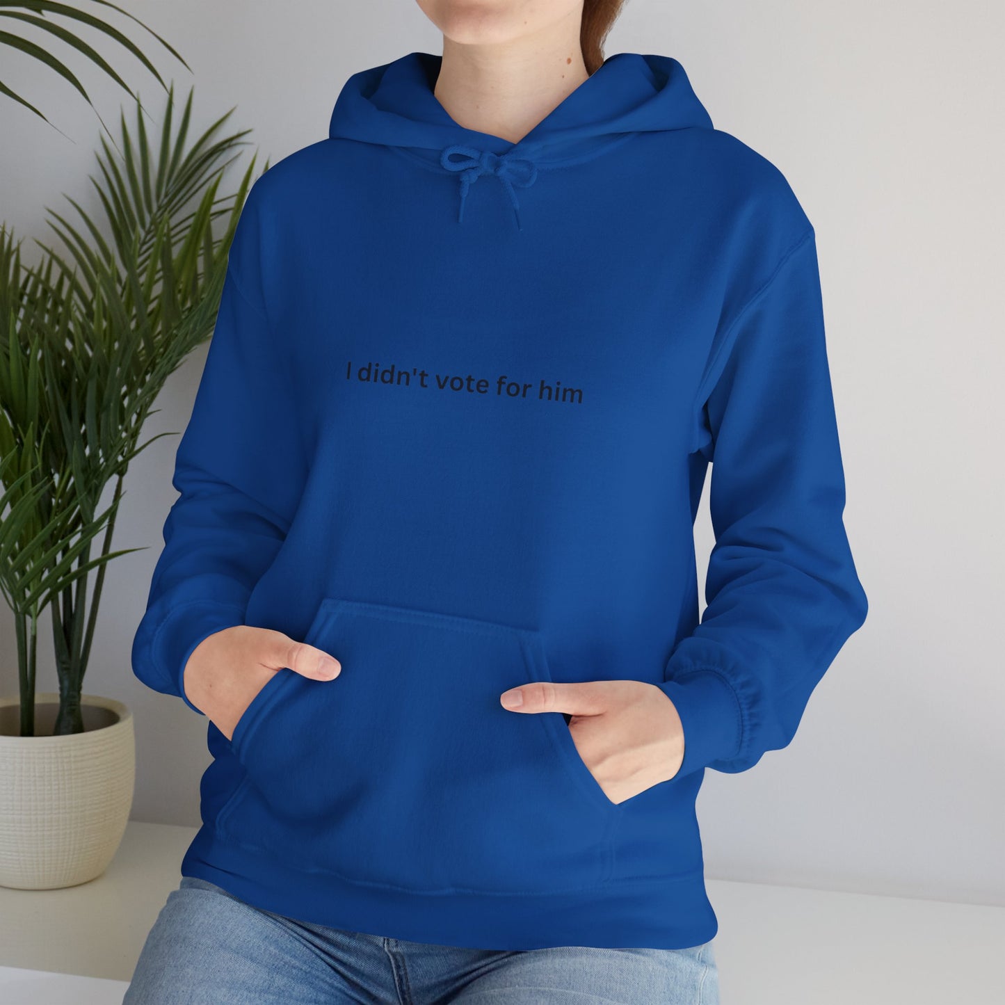 I Didn't Vote for Him Unisex Heavy Blend™ Hooded Sweatshirt