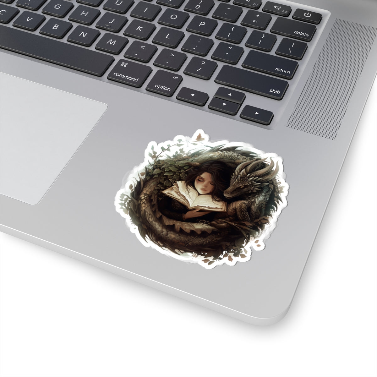 Fantasy Dragon Book Lover Stickers
