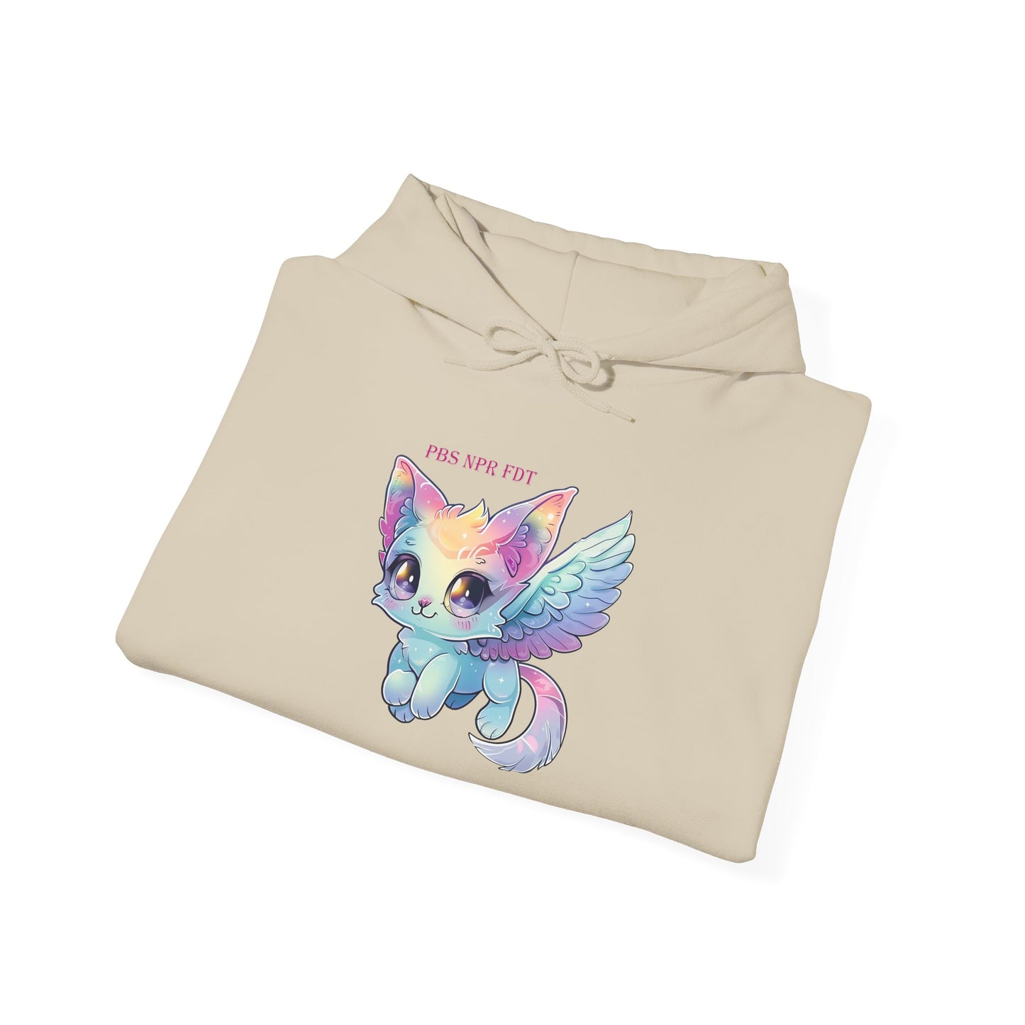 PBS NPR FDT Magical Cat Hoodie