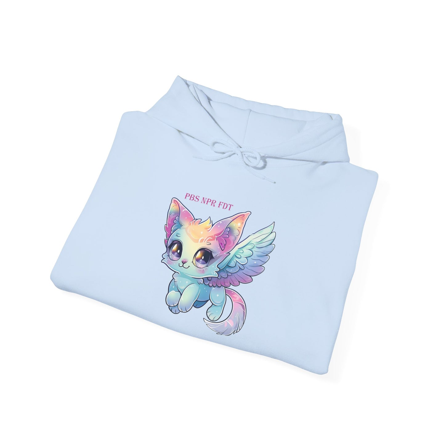 PBS NPR FDT Magical Cat Hoodie