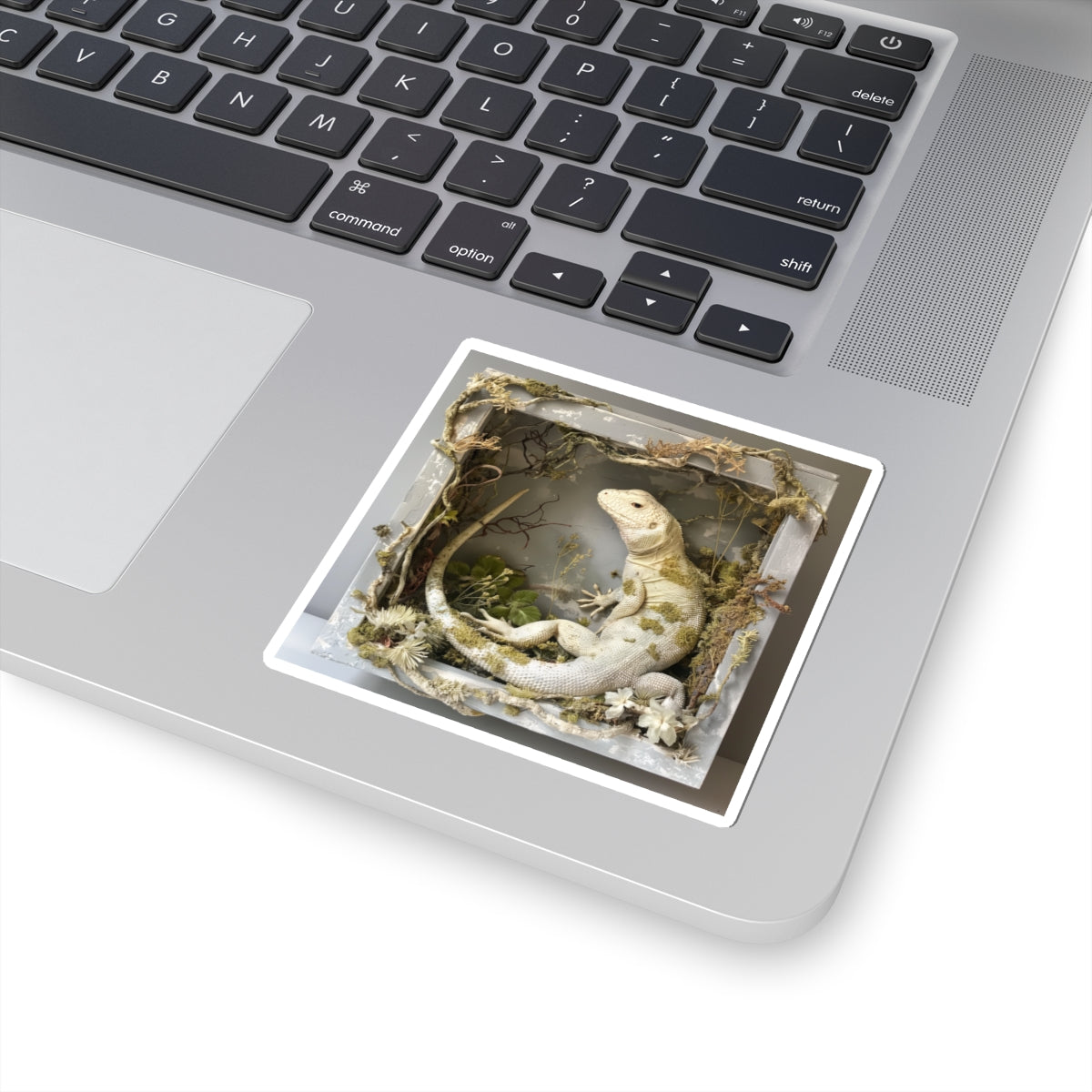Boxlizard Terrarium Sticker — Kiss-Cut Decorative Sticker