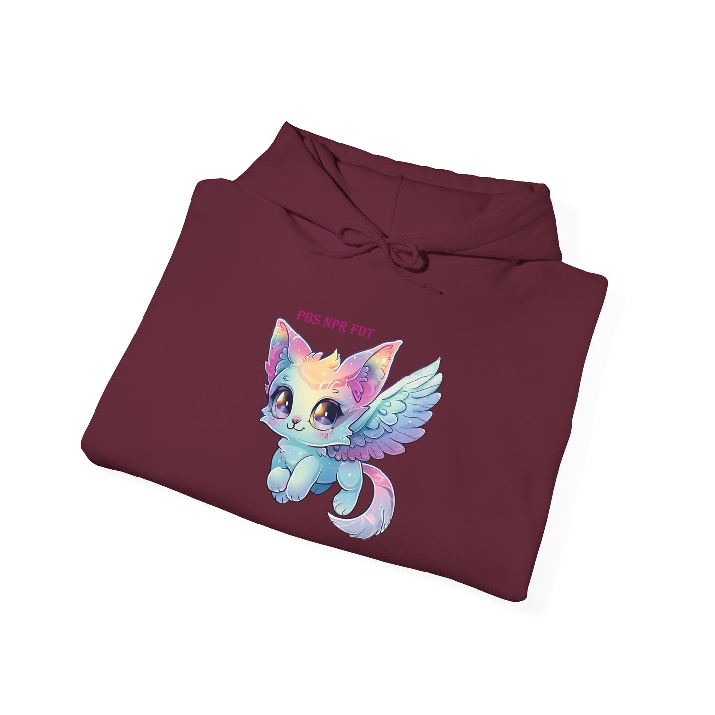 PBS NPR FDT Magical Cat Hoodie