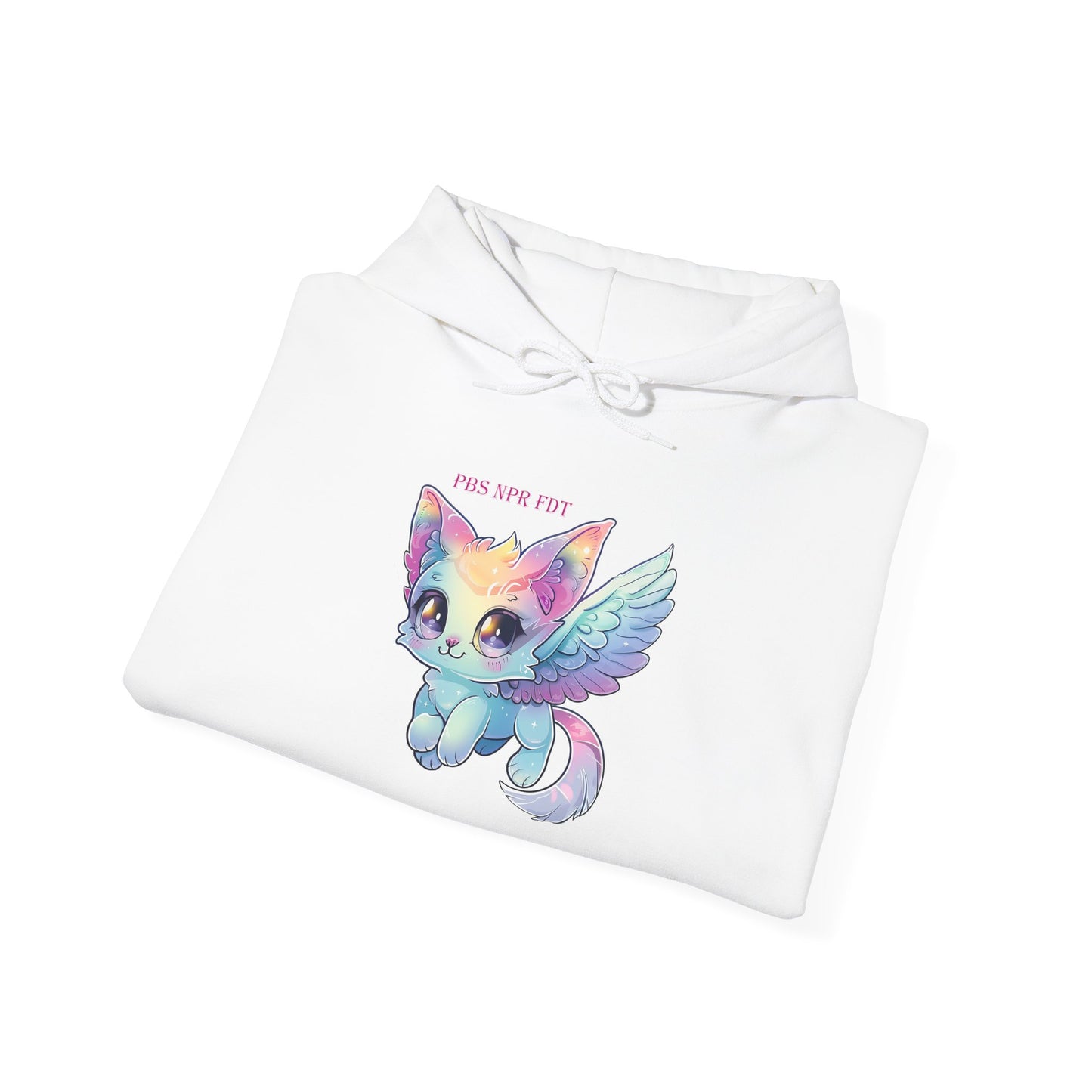 PBS NPR FDT Magical Cat Hoodie